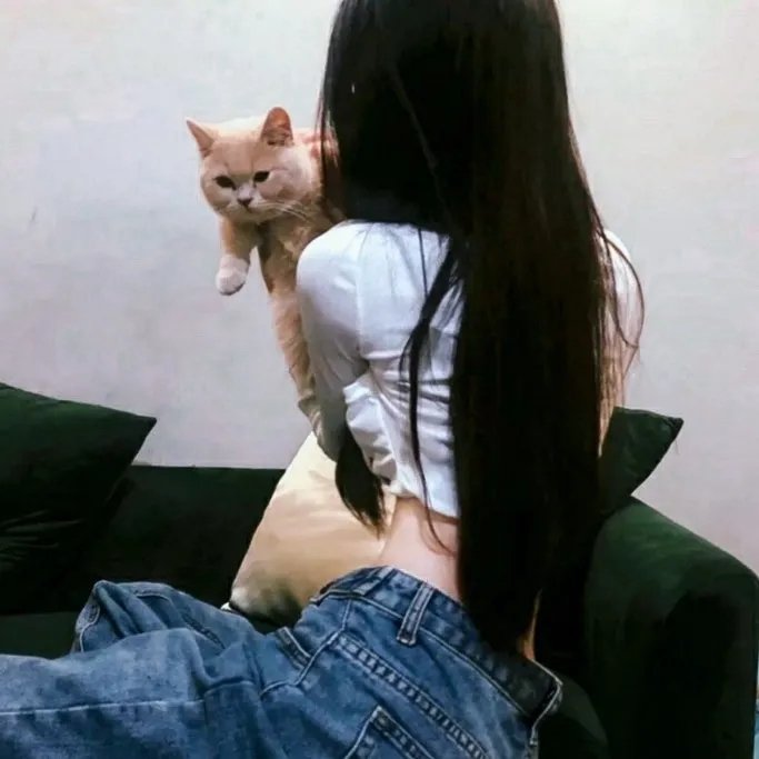 蓝蝶之谜