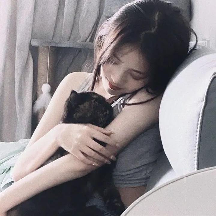 带轮子的家第四季