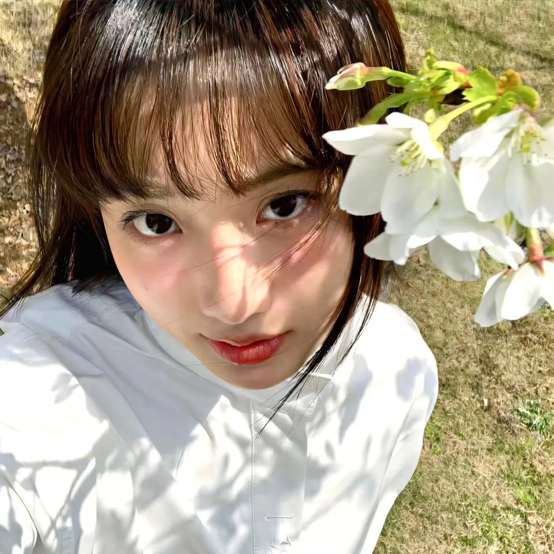 哈蜜